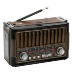 Classic Wireless Radio BT086