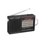 Wireless Radio ST1080BT