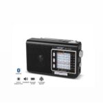 NNS Solar Radio NNS7022S