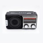 PU King Bluetooth Radio PX726BT